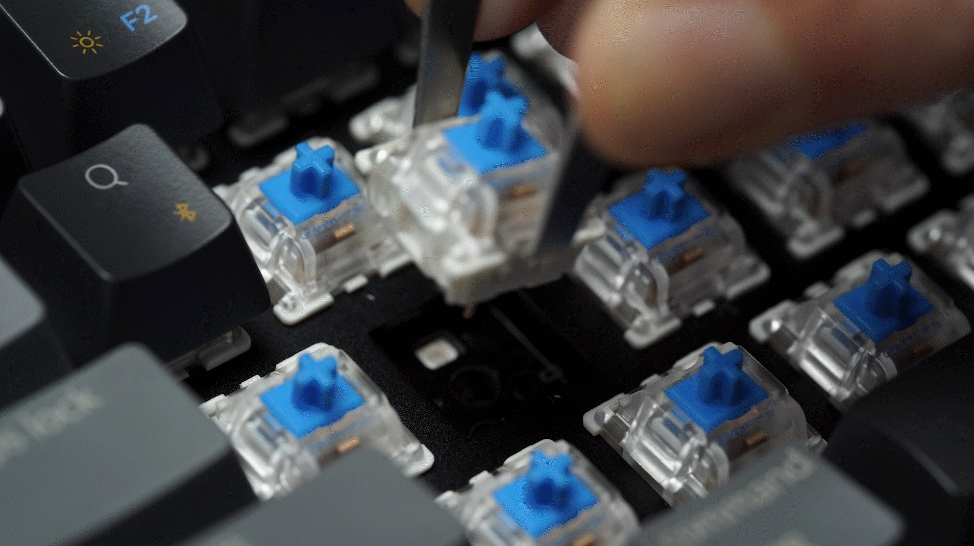 Why Hot swappable Is An Essential Feature For Mechanical Keyboard Cust why-hot-swappable-is-an-essential-feature-for-mechanical-keyboard-cust