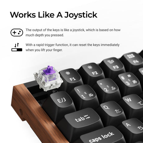 Keychron K2 HE JIS Switch Feature
