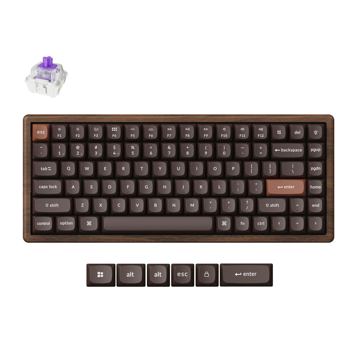 K2 HE Swappable RGB Backlight Nebula Switch - Special Edition