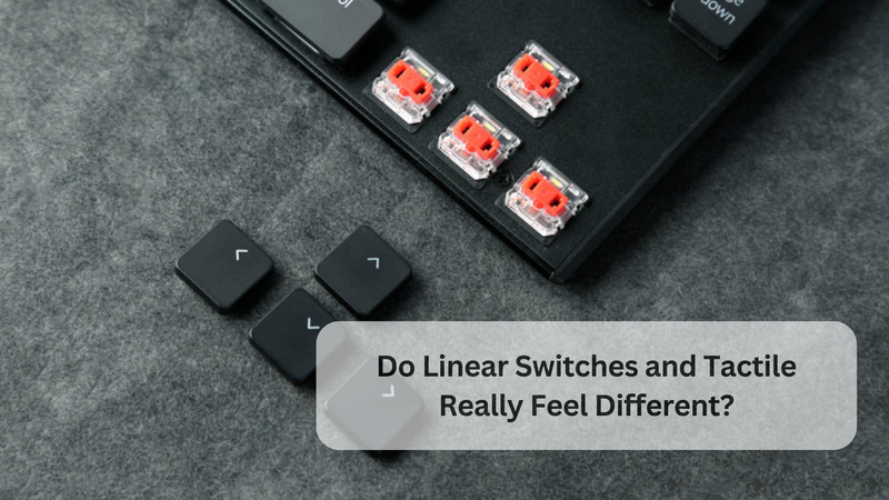 Do Linear Switches and Tactile Really Feel Different?