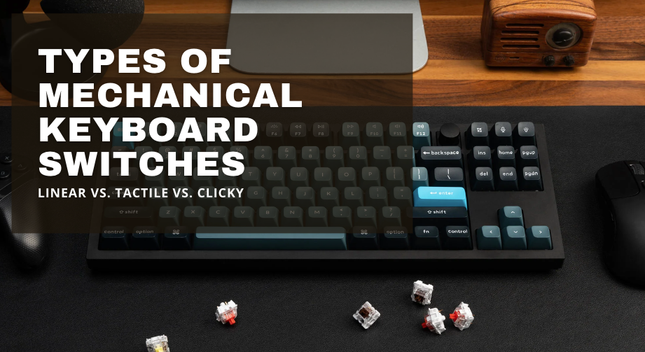 Types of Keyboard Switches: Linear vs Tactile vs Clicky