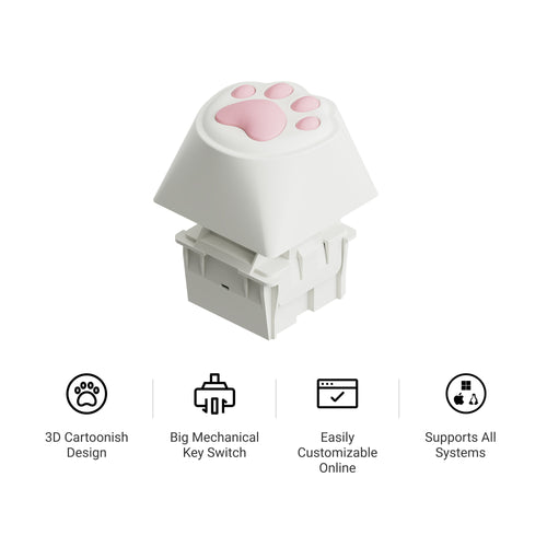 Big Kitty Paw Key Iconic Features