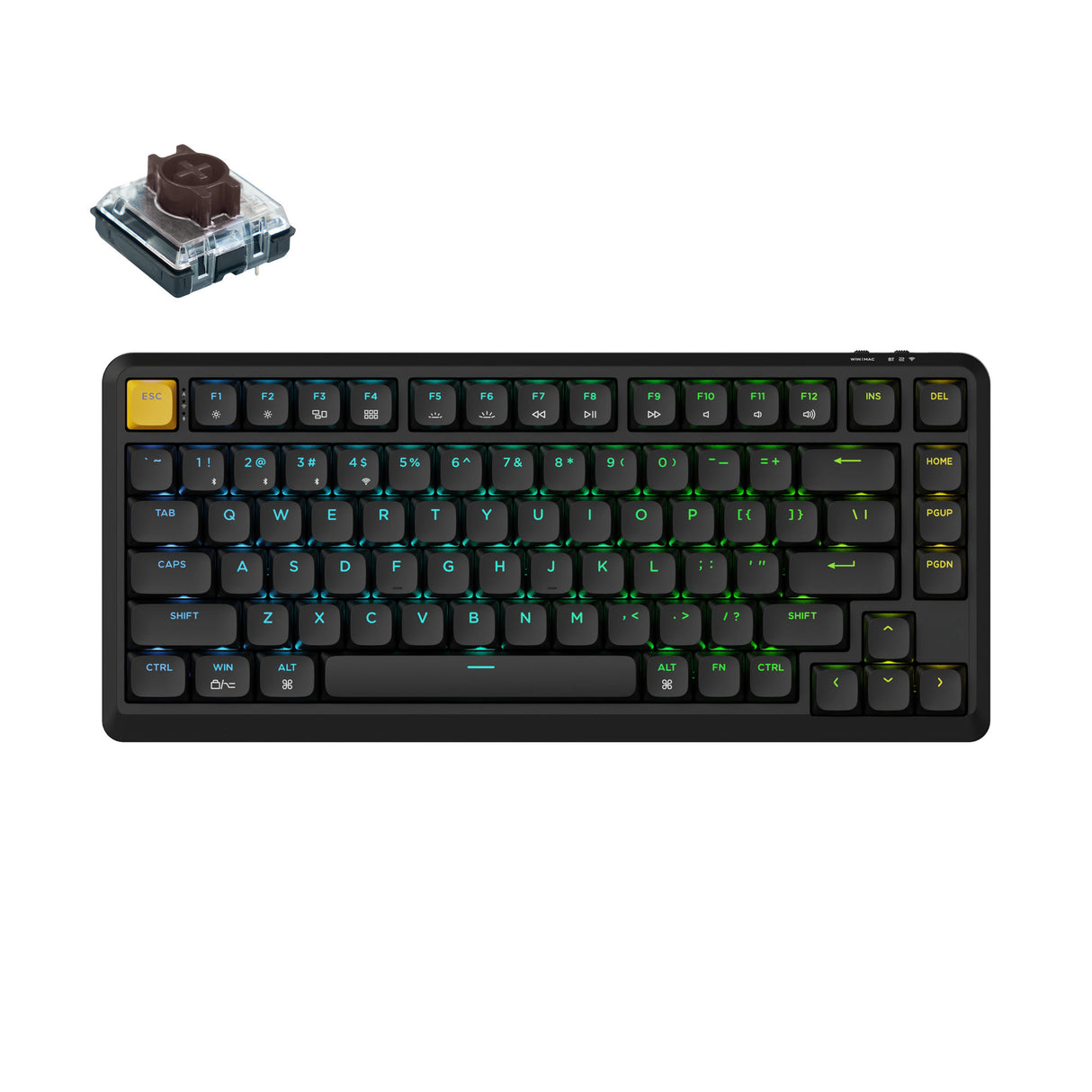 Keychron J1 Swappable RGB Backlight Brown Switch - Black