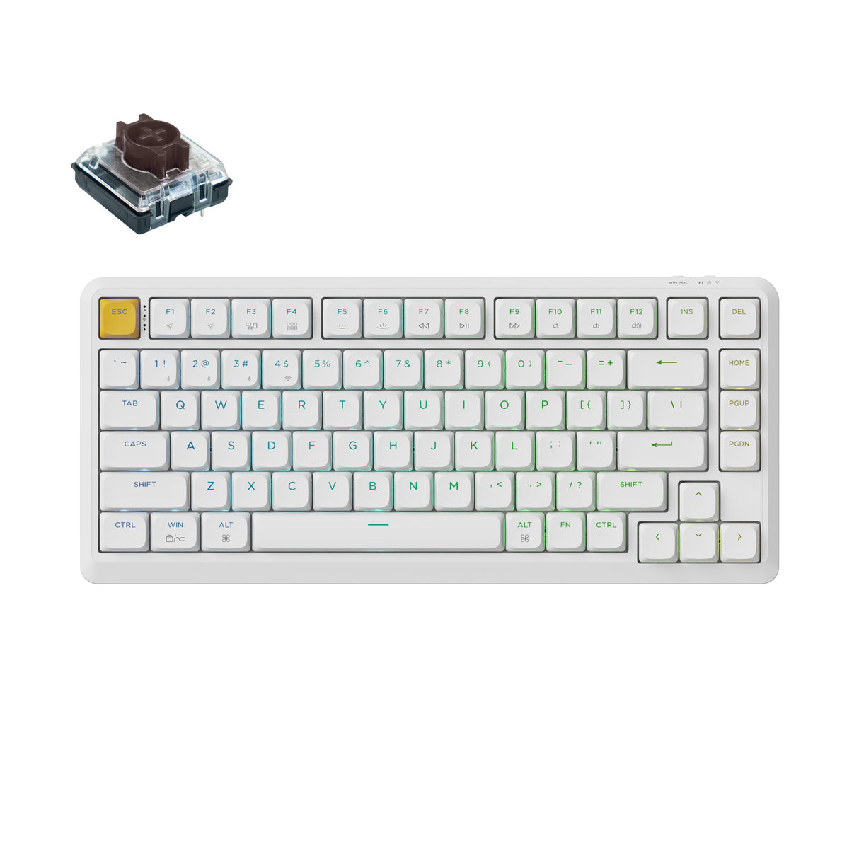 Keychron J1 Swappable RGB Backlight Brown Switch - White