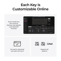 K2 HE All-Wood Special Edition Launcher Customization