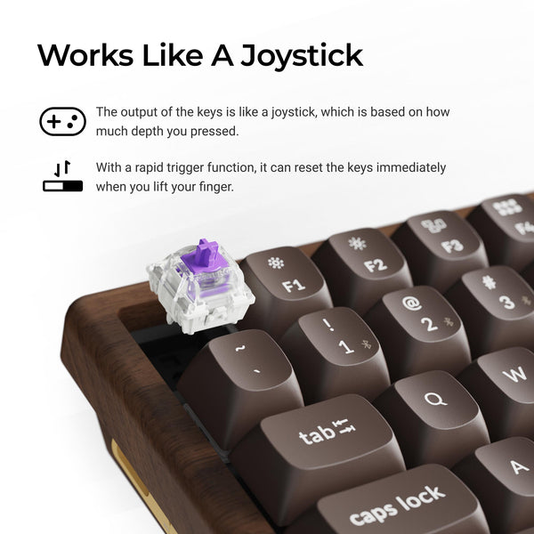 Keychron K2 HE Wireless Magnetic Switch Custom Keyboard - All-Wood Spe