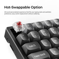 Keychron K2 Max Hot-swappable Option