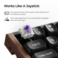 Keychron K6 HE Magnetic Switch Features
