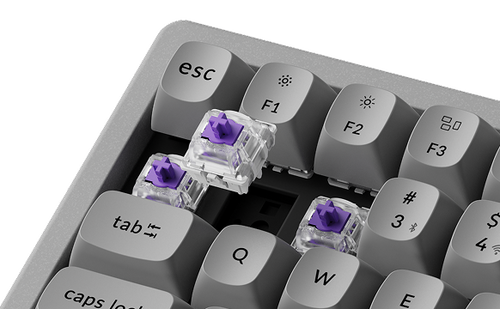 Hot-swappable switch
