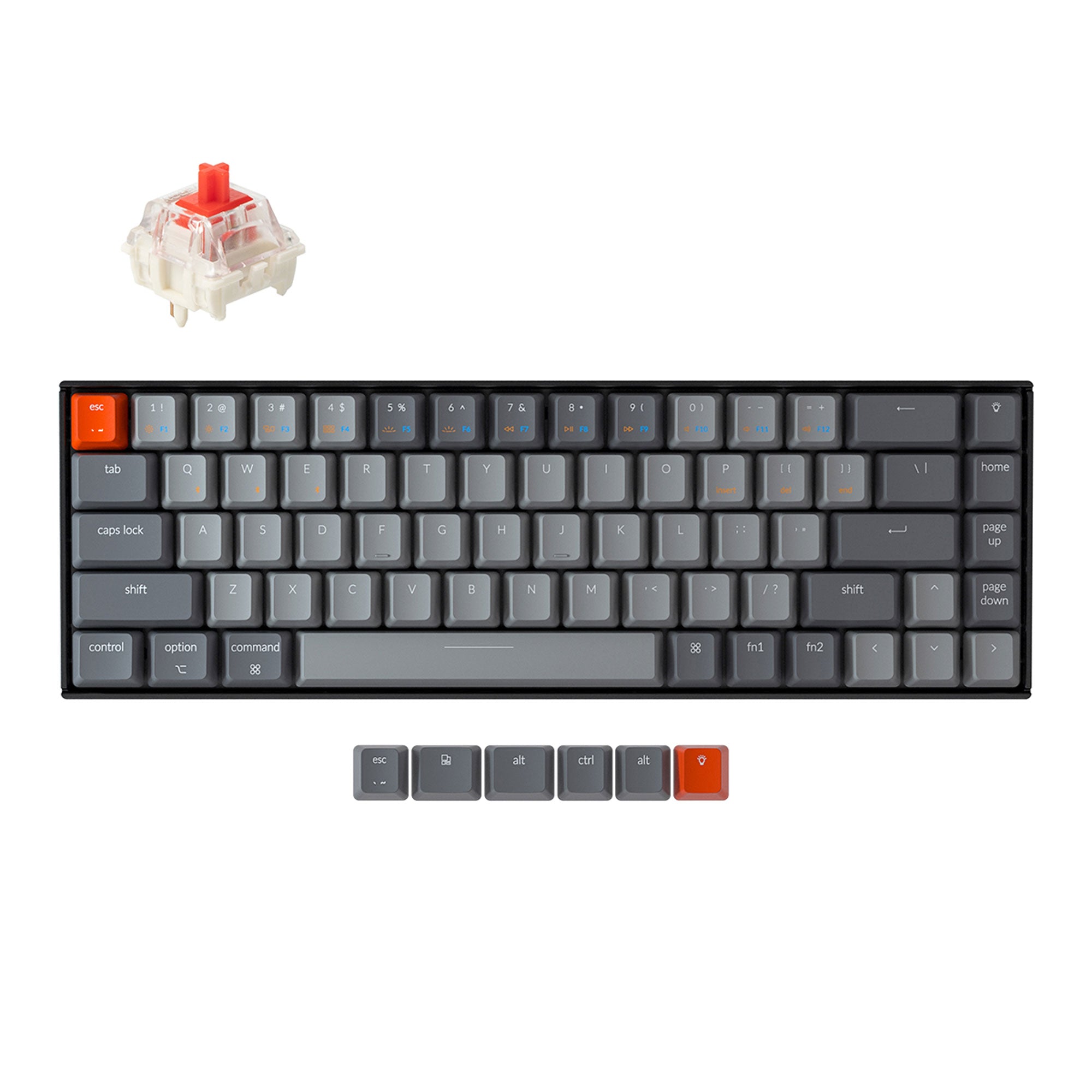 KeyChron K6 RGB Backlight Brown 茶軸 Keychron-K6-compact-65-percent