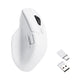 Keychron M6 Wireless Mouse – Keychron | Mechanical Keyboards for Mac ...
