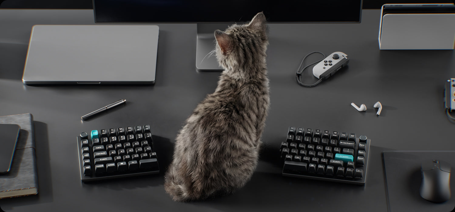 Detalhe dos switches do Q11 Ultra 8K