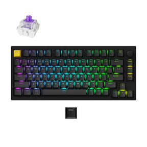 Lemokey P1 HE Wireless Custom Gaming Keyboard Black Aluminum Frame Gateron Double-Rail Magnetic Nebula Switch Shine-Through Double-Shot PBT Keycaps Version