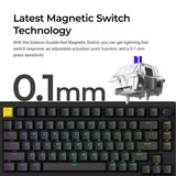 Lemokey P1 HE Magnetic Switch