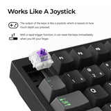 Lemokey P1 HE Switch Features