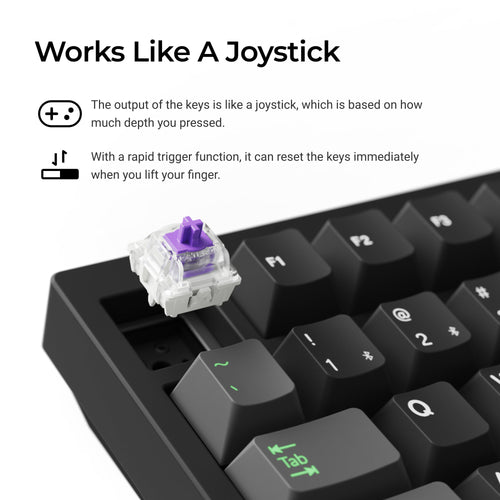 Lemokey P1 HE Switch Features