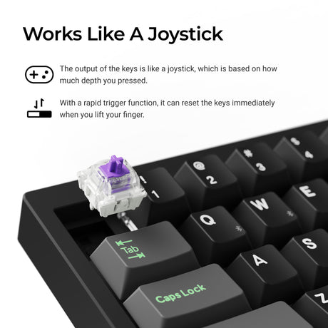 Lemokey P2 HE Switch Features
