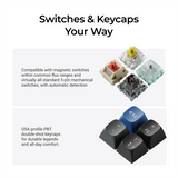 Promotional graphic for mechanical keyboard switches and keycaps with the headline 'Switches & Keycaps Your Way' on a light gray background. The left panel describes compatibility with magnetic switches and standard 5-pin mechanical switches, with four small switch images on the right.