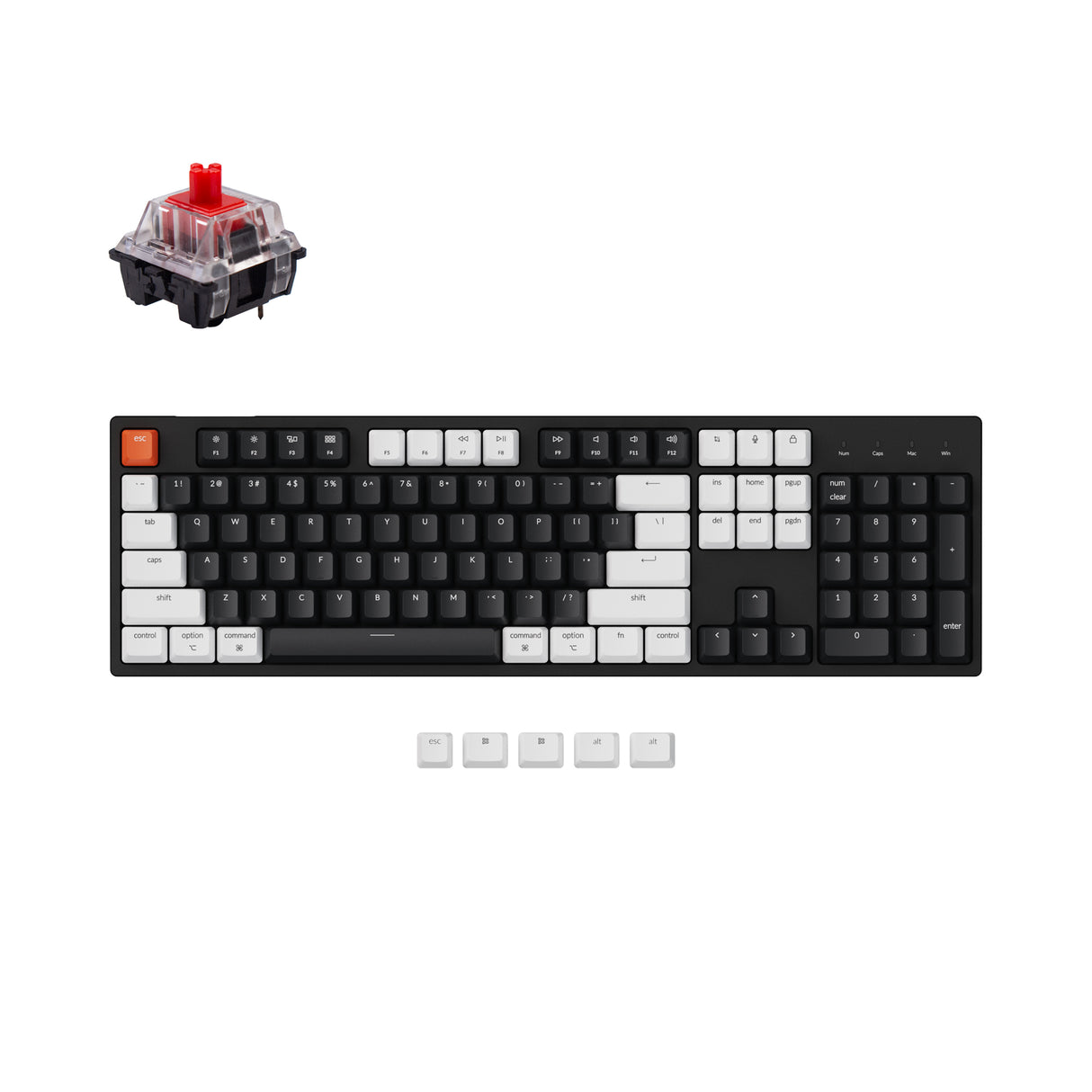 Keychron K2 75% Layout Hot-swappable Bluetooth Wireless/USB Wired  Mechanical Keyboard with Gateron G Pro Brown Switch/Double-Shot Keycaps/RGB  Backlit