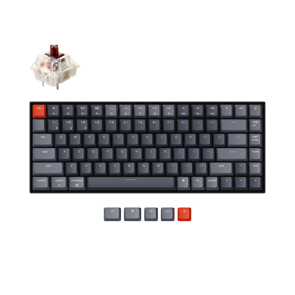 Keychron K2 wireless mechanical keyboard for Mac Windows iOS Gateron switch brown with type C RGB white backlight exclusive color