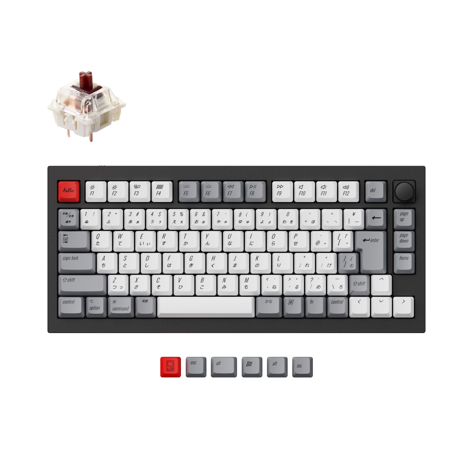 Keychron Q1 QMK VIA custom mechanical keyboard Japan JIS layout with knob version with double-gasket design and screw-in PCB stabilizer and hot-swappable south-facing RGB black frame Gateron G-Pro switch brown