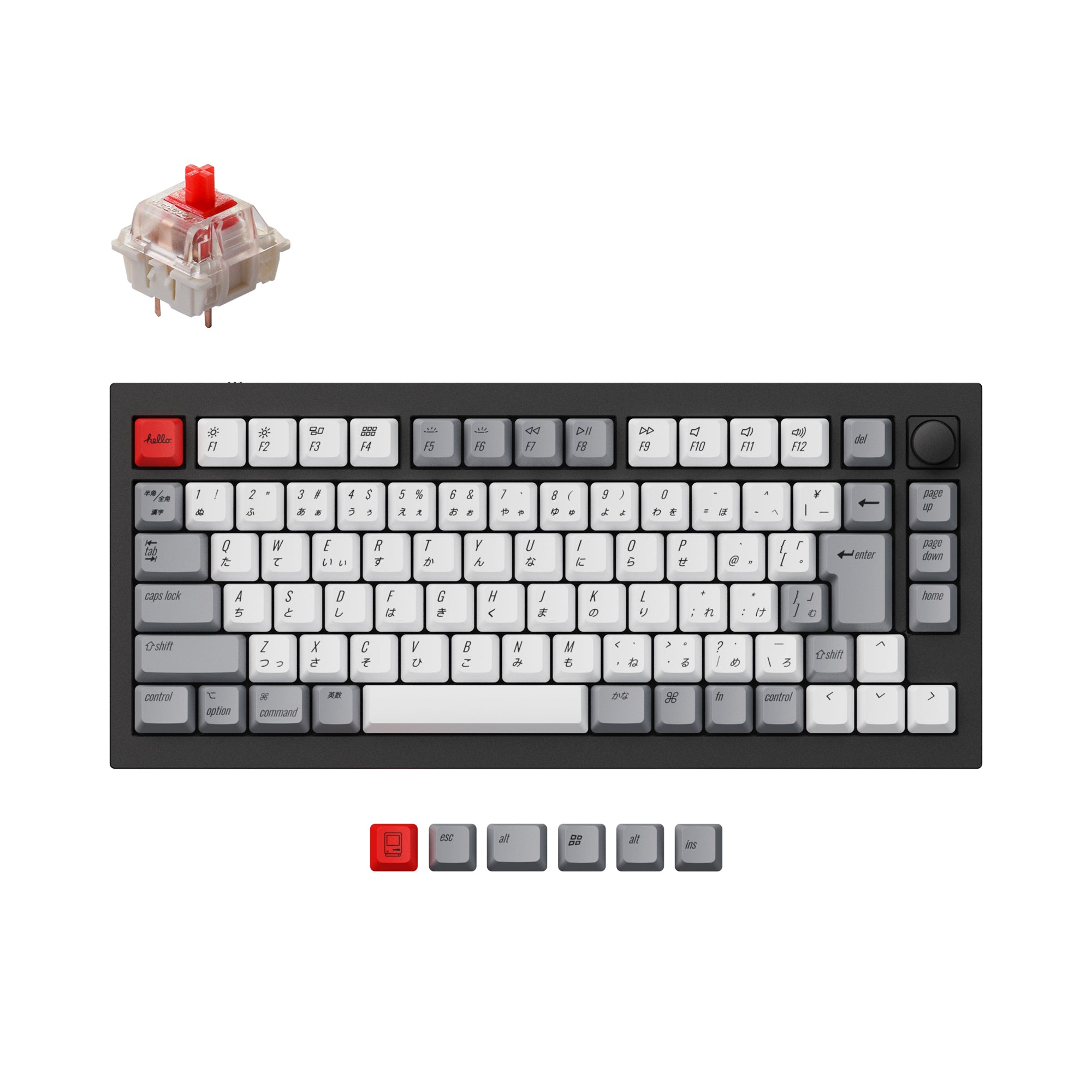 Keychron Q1 QMK Custom Mechanical Keyboard (Japan JIS Layout) keyboard image
