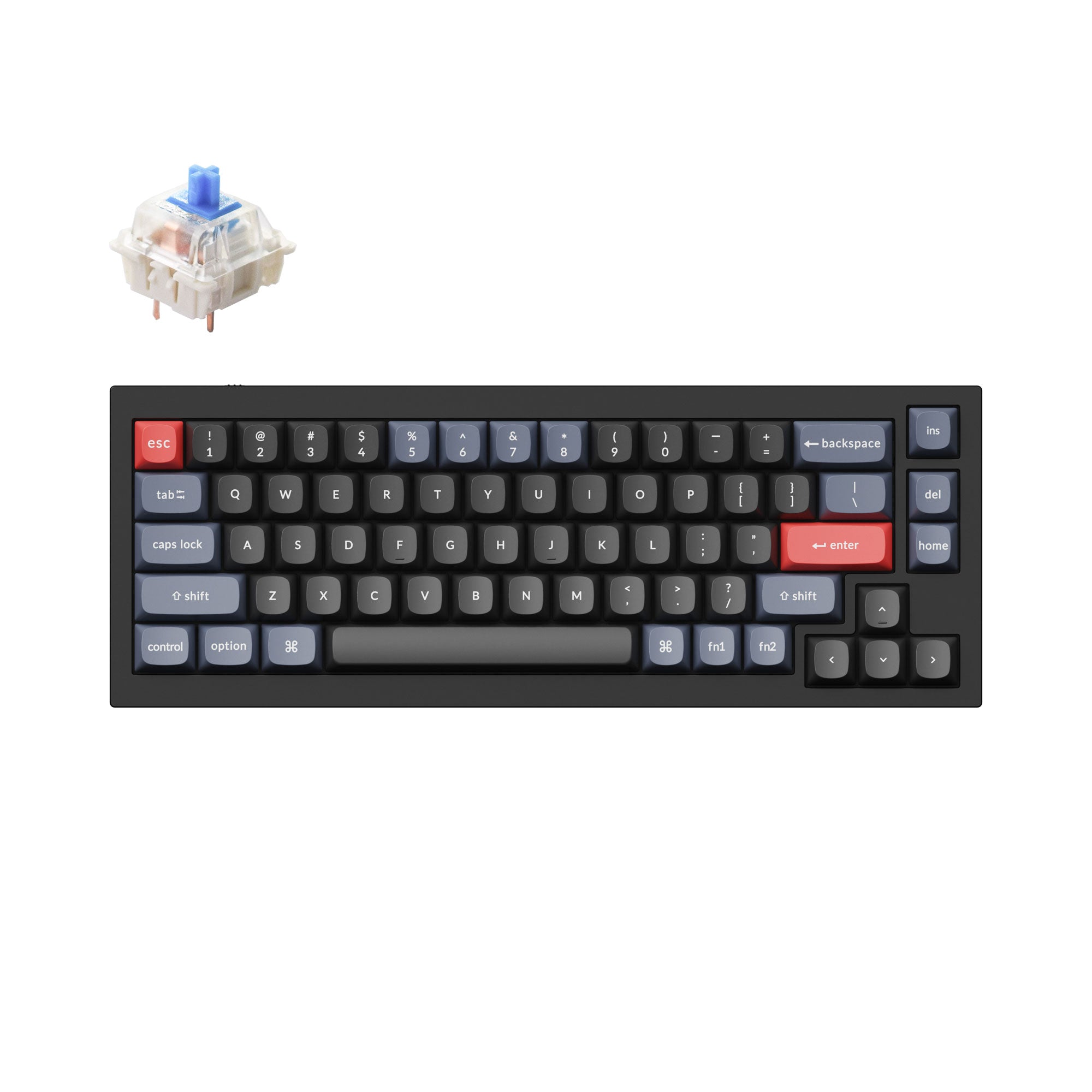 Keychron Q2 QMK VIA custom mechanical keyboard 65 percent layout full aluminum black frame for Mac Windows iOS RGB backlight with hot swappable Gateron G Pro switch blue