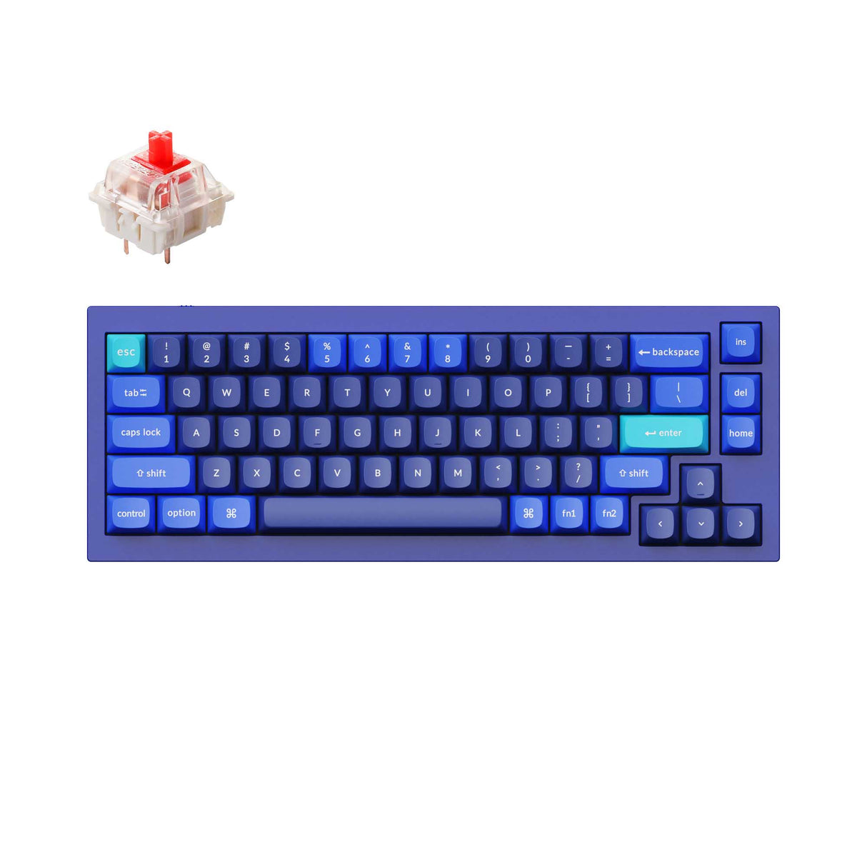 Keychron Q2 QMK VIA custom mechanical keyboard 65 percent layout full aluminum blue frame for Mac Windows iOS RGB backlight with hot swappable Gateron G Pro switch red