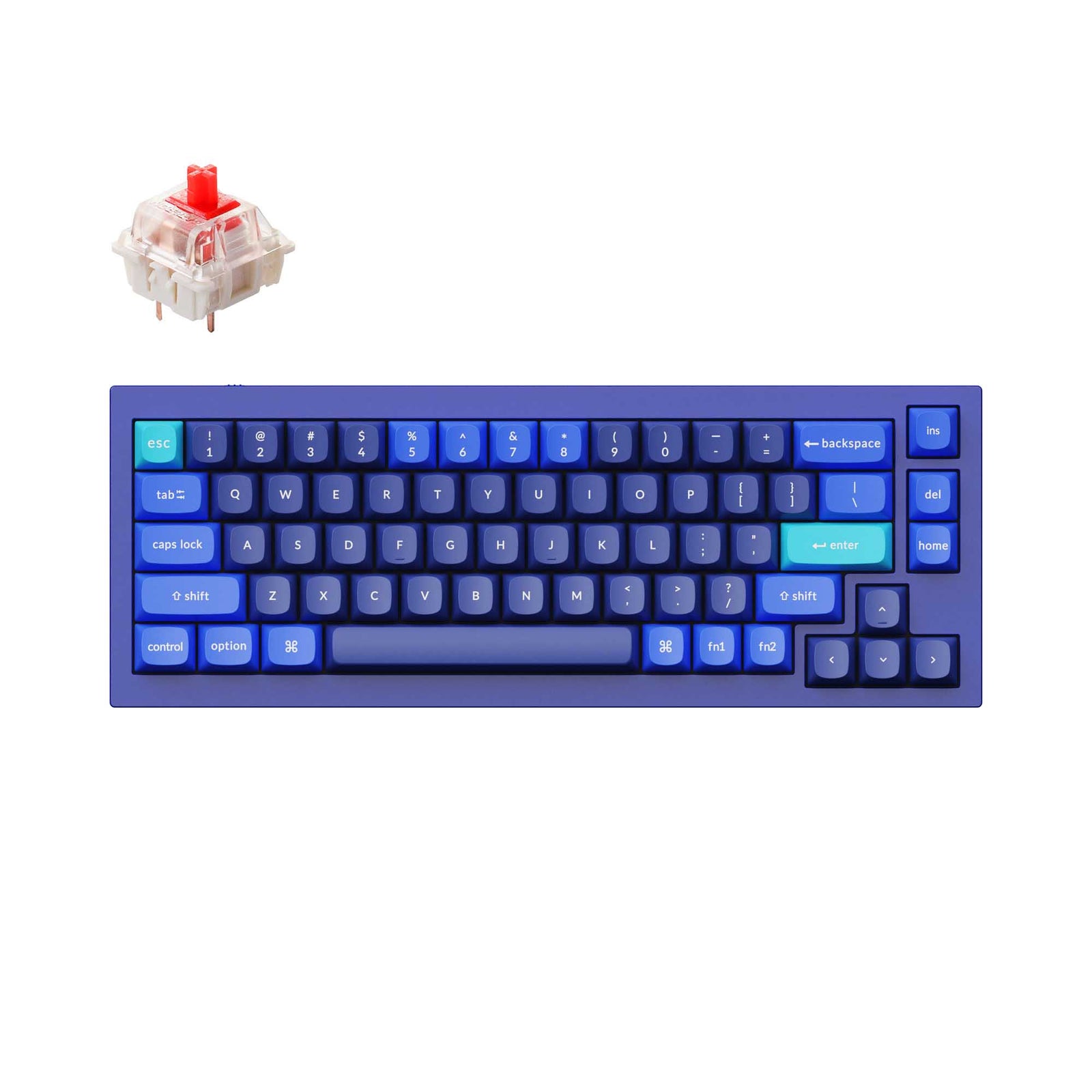 Official Keychron Q2 65 percent mechanical keyboard in navy blue