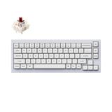 Keychron Q2 QMK VIA custom mechanical keyboard 65 percent layout full aluminum black frame for Mac Windows iOS RGB backlight with hot swappable Gateron G Pro switch brown shell white