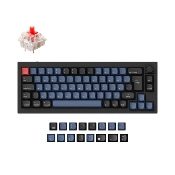 Keychron Q2 QMK VIA custom mechanical keyboard 65 percent layout full aluminum frame Mac Windows German DE ISO layout hot swappable Gateron G Pro red