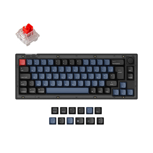 Keychron V2 QMK VIA custom mechanical keyboard 65 percent layout frosted black knob Mac Windows Linux hot-swappable Keychron K Pro switch red ISO French layout